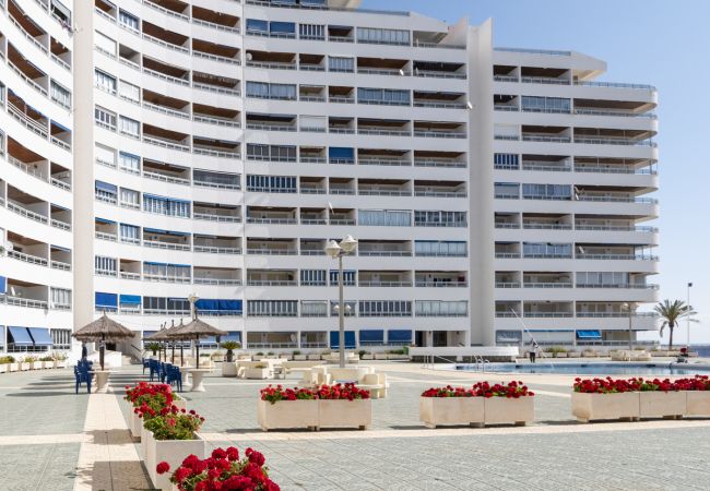 Apartamento en Cullera - PRADO, B-6º-64 PK INT 102 Apartamento en Cullera - PRADO, B-6º-64 PK INT 102