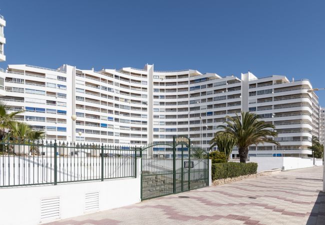 Apartamento en Cullera - PRADO, B-6º-64 PK INT 102 Apartamento en Cullera - PRADO, B-6º-64 PK INT 102