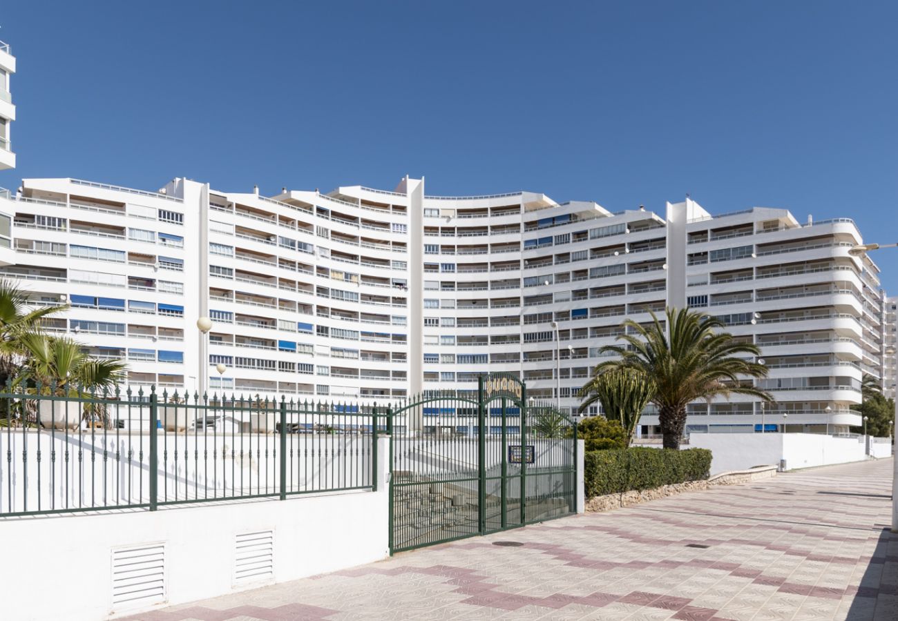 Apartamento en Cullera - PRADO, B-6º-64 PK INT 102 Apartamento en Cullera - PRADO, B-6º-64 PK INT 102