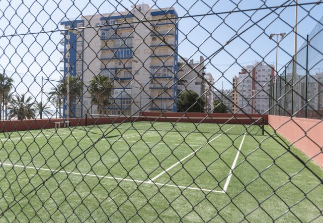 Apartamento en Cullera - FERROBUS 1, BQ-1, ESC-1,18º-45 + PK 18 (Duplex) Apartamento en Cullera - FERROBUS 1, BQ-1, ESC-1,18º-45 + PK 18 (Duplex)