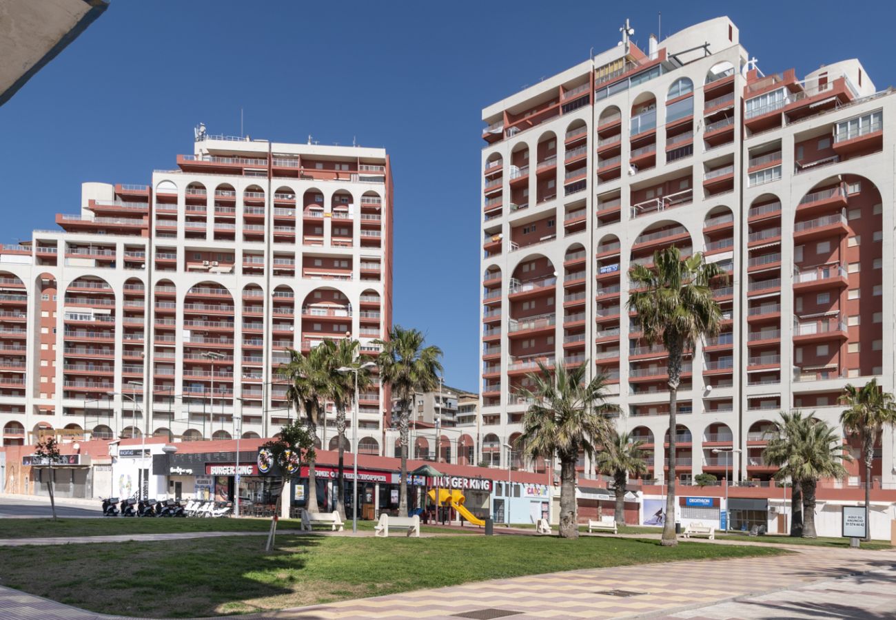 Apartamento en Cullera - FERROBUS 1, BQ-1, ESC-1,18º-45 + PK 18 (Duplex) Apartamento en Cullera - FERROBUS 1, BQ-1, ESC-1,18º-45 + PK 18 (Duplex)
