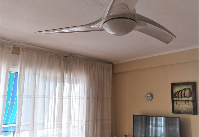 Apartamento en Cullera - MARI CARMEN, 2º-8 Apartamento en Cullera - MARI CARMEN, 2º-8