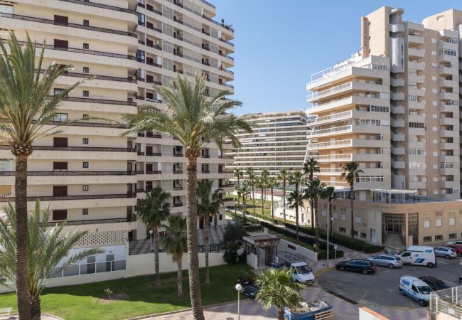 Apartamento en Cullera - FLORAZAR 3, 3º-C Apartamento en Cullera - FLORAZAR 3, 3º-C