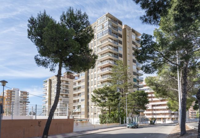 Apartamento en Cullera - AGUAMARINA- C 11º-51, CB-52 Apartamento en Cullera - AGUAMARINA- C 11º-51, CB-52