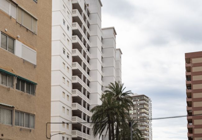 Garaje/Parking en Cullera - CABINA LIDER Nº2 TUNEL Garaje/Parking en Cullera - CABINA LIDER Nº2 TUNEL