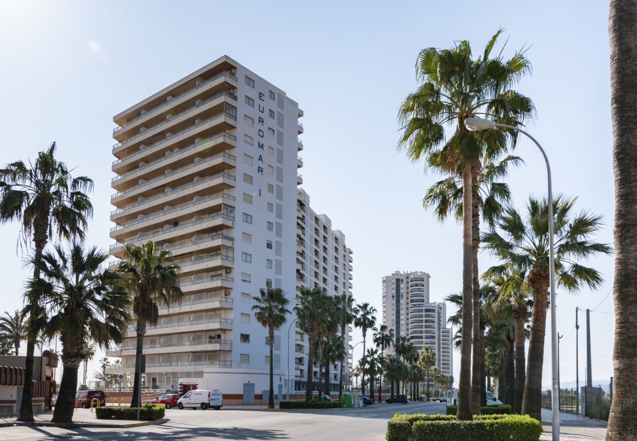 Apartamento en Cullera - EUROMAR, ESC-6, 15º-45 Apartamento en Cullera - EUROMAR, ESC-6, 15º-45