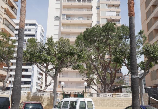 Apartamento en Cullera - MALVARROSA, 8º-54 Apartamento en Cullera - MALVARROSA, 8º-54