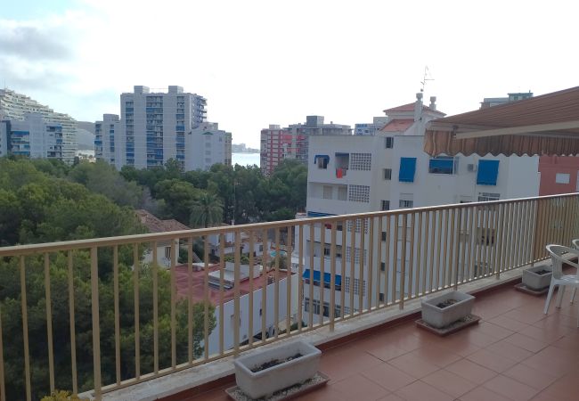 Apartamento en Cullera - VAN-DYCK, ESC-4, 6º-24 + PK 18 Apartamento en Cullera - VAN-DYCK, ESC-4, 6º-24 + PK 18