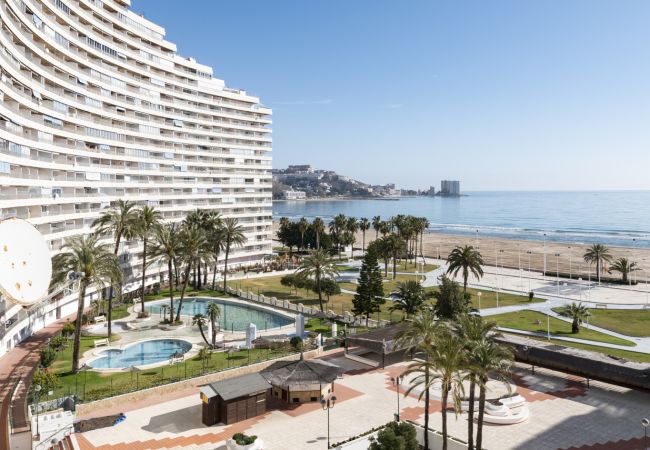 Studio in Cullera - FLORAZAR 1, I-A 7-B Studio in Cullera - FLORAZAR 1, I-A 7-B