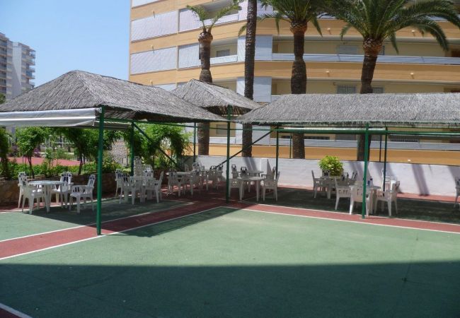 Ferienwohnung in Cullera - LAS VEGAS, ESC-3, 7º-19 Ferienwohnung in Cullera - LAS VEGAS, ESC-3, 7º-19