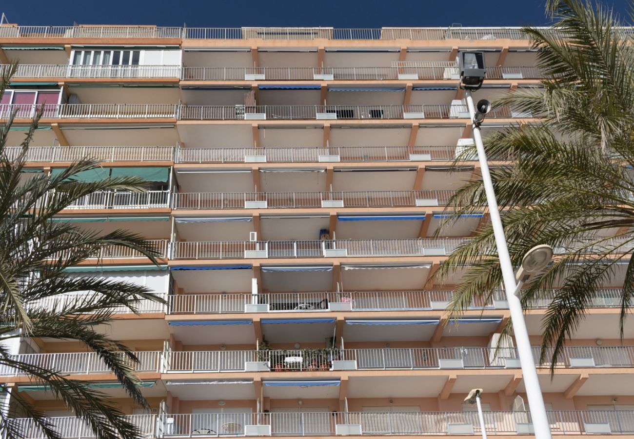 Ferienwohnung in Cullera - APOLO, 5º-30 Ferienwohnung in Cullera - APOLO, 5º-30