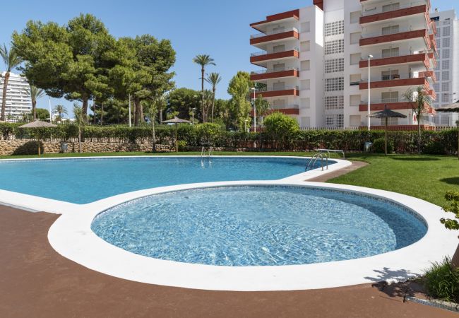 Ferienwohnung in Cullera - LAS VEGAS, ESC-1, 7º-14 Ferienwohnung in Cullera - LAS VEGAS, ESC-1, 7º-14