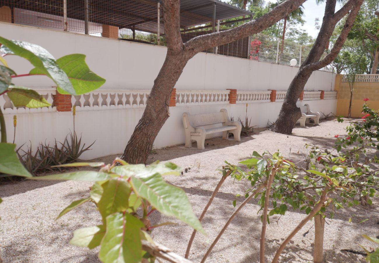 Ferienwohnung in Cullera - MALVARROSA, 8º-54 Ferienwohnung in Cullera - MALVARROSA, 8º-54