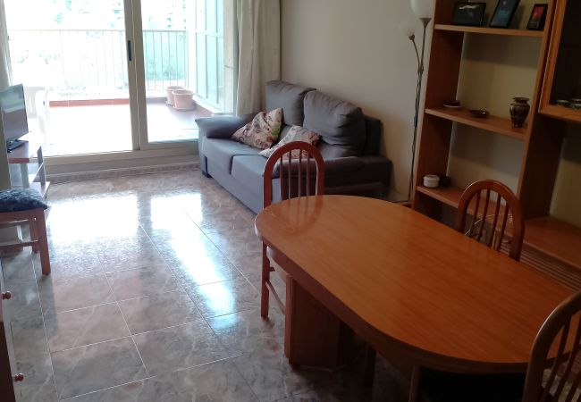 Ferienwohnung in Cullera - VAN-DYCK, ESC-4, 6º-24 + PK 18 Ferienwohnung in Cullera - VAN-DYCK, ESC-4, 6º-24 + PK 18