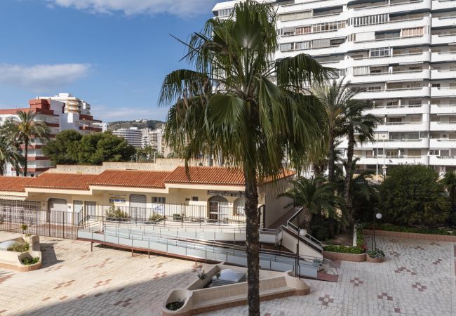 Apartment in Cullera - FLORAZAR 2, VII-2-A Apartment in Cullera - FLORAZAR 2, VII-2-A