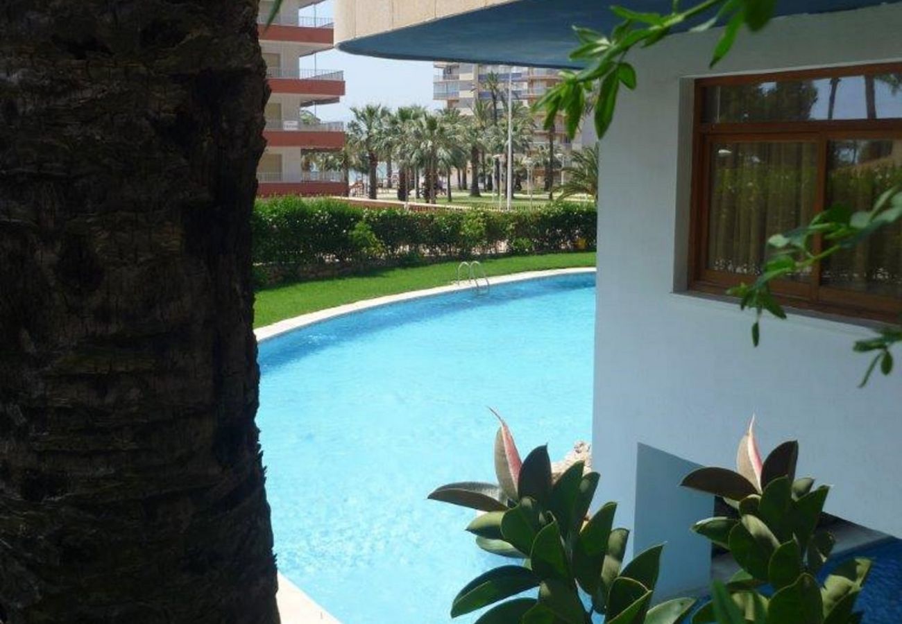 Apartment in Cullera - LAS VEGAS, ESC-3, 7º-19 Apartment in Cullera - LAS VEGAS, ESC-3, 7º-19