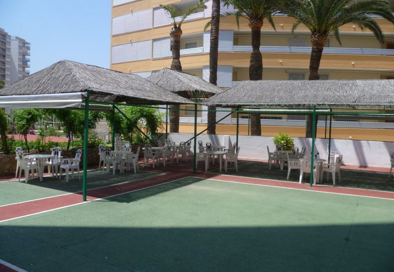 Apartment in Cullera - LAS VEGAS, ESC-3, 7º-19 Apartment in Cullera - LAS VEGAS, ESC-3, 7º-19