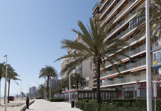 Apartment in Cullera - FRONTALMAR, ESC-A, 8º-29 Apartment in Cullera - FRONTALMAR, ESC-A, 8º-29