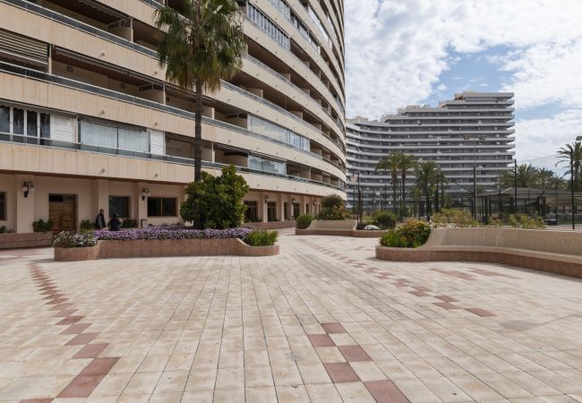 Apartment in Cullera - FLORAZAR 2, IV-14-C Apartment in Cullera - FLORAZAR 2, IV-14-C