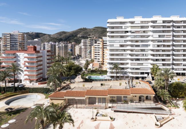 Apartment in Cullera - FLORAZAR 2, VI-7-C Apartment in Cullera - FLORAZAR 2, VI-7-C