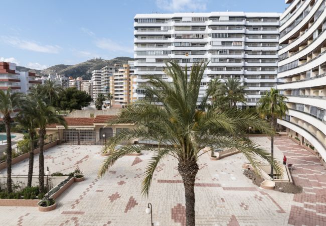Apartment in Cullera - FLORAZAR 2, VI-3-B Apartment in Cullera - FLORAZAR 2, VI-3-B