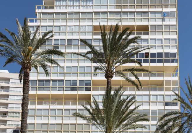 Apartment in Cullera - FLORAZAR 3, 3º-C Apartment in Cullera - FLORAZAR 3, 3º-C