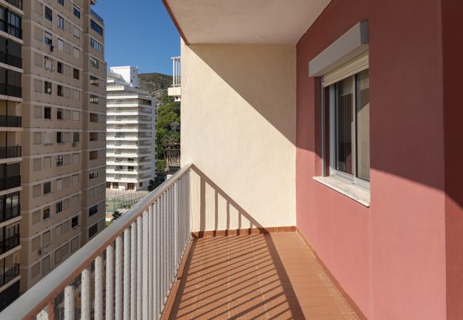 Apartment in Cullera - EL RACO, A-7º-13 Apartment in Cullera - EL RACO, A-7º-13
