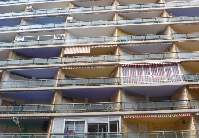 Apartment in Cullera - TORREMAR, D-13º-25 Apartment in Cullera - TORREMAR, D-13º-25