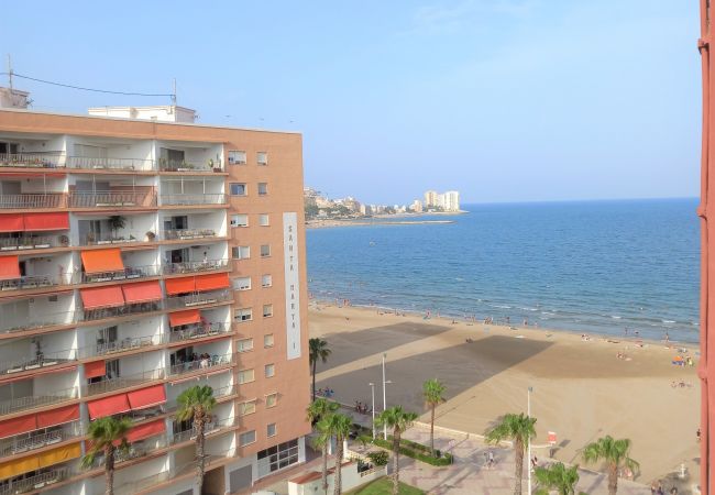 Apartment in Cullera - EL RACO, C-9º-17 Apartment in Cullera - EL RACO, C-9º-17