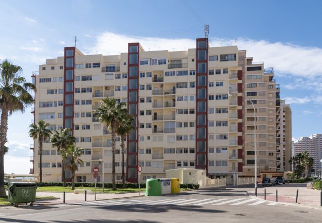 Apartment in Cullera - EL RACO, C-9º-17 Apartment in Cullera - EL RACO, C-9º-17