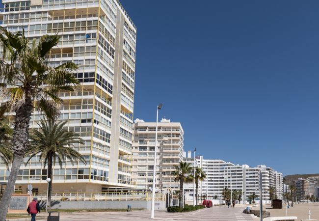 Garage/Parking in Cullera - PARKING FLORAZAR-3, INT. 39 Garage/Parking in Cullera - PARKING FLORAZAR-3, INT. 39