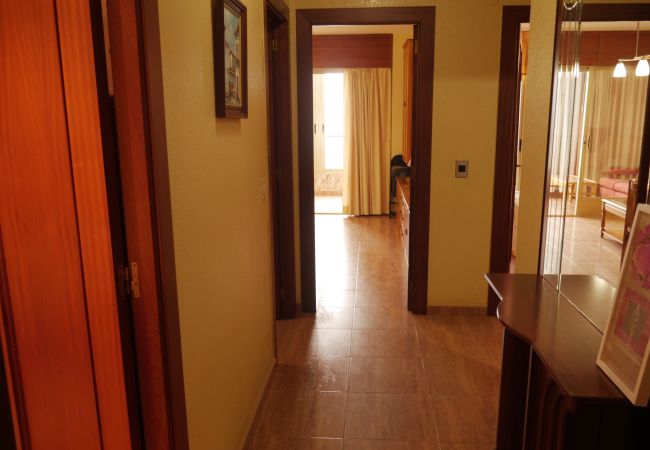 Apartment in Cullera - ARENSOL ESC-B3, 15º-44 Apartment in Cullera - ARENSOL ESC-B3, 15º-44