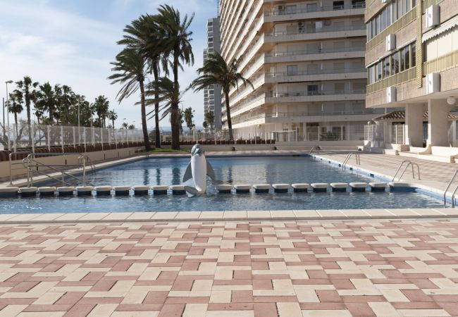 Apartment in Cullera - ARENSOL ESC-B3, 15º-44 Apartment in Cullera - ARENSOL ESC-B3, 15º-44