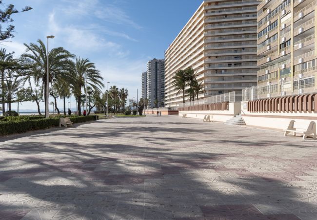 Apartment in Cullera - ARENSOL ESC-B3, 15º-44 Apartment in Cullera - ARENSOL ESC-B3, 15º-44