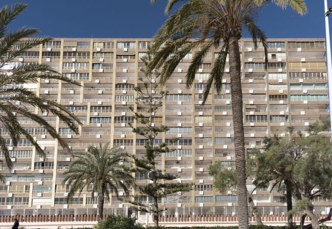 Apartment in Cullera - ARENSOL ESC-B3, 15º-44 Apartment in Cullera - ARENSOL ESC-B3, 15º-44