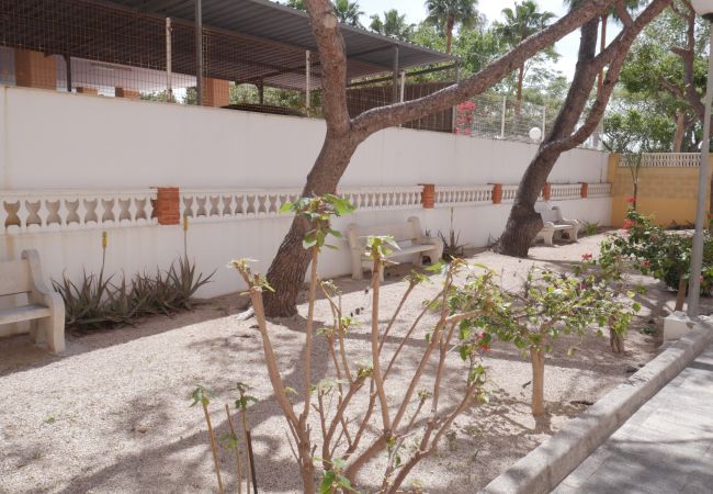 Apartment in Cullera - MALVARROSA, 8º-54 Apartment in Cullera - MALVARROSA, 8º-54