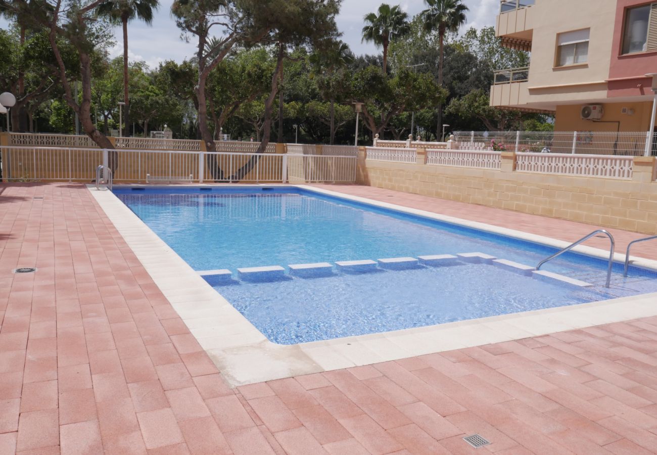 Apartment in Cullera - MALVARROSA, 10º68