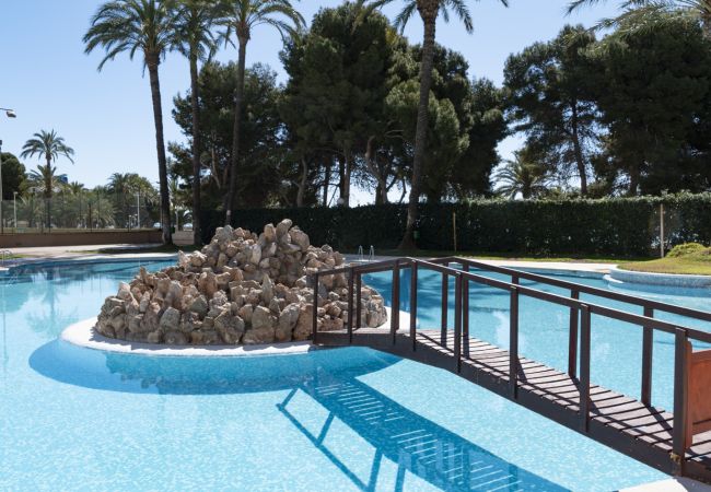 Appartement à Cullera - FLORAZAR 2, VI-1-B Appartement à Cullera - FLORAZAR 2, VI-1-B