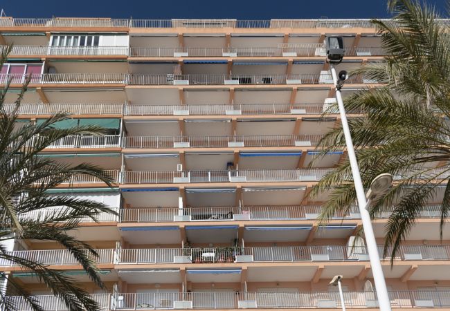 Appartement à Cullera - APOLO, 5º-30 Appartement à Cullera - APOLO, 5º-30