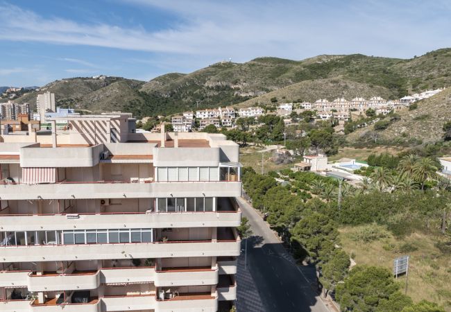 Appartement à Cullera - AGUAMARINA- C 11º-51, CB-52 Appartement à Cullera - AGUAMARINA- C 11º-51, CB-52