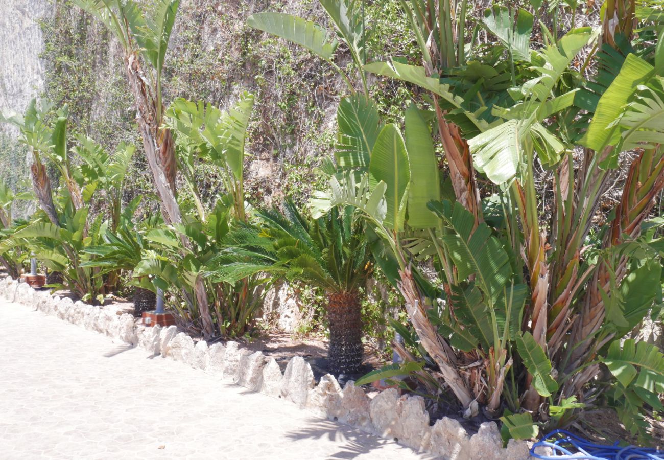 Appartement à Cullera - BELLATERRA, BQ-2, BAJO A Appartement à Cullera - BELLATERRA, BQ-2, BAJO A