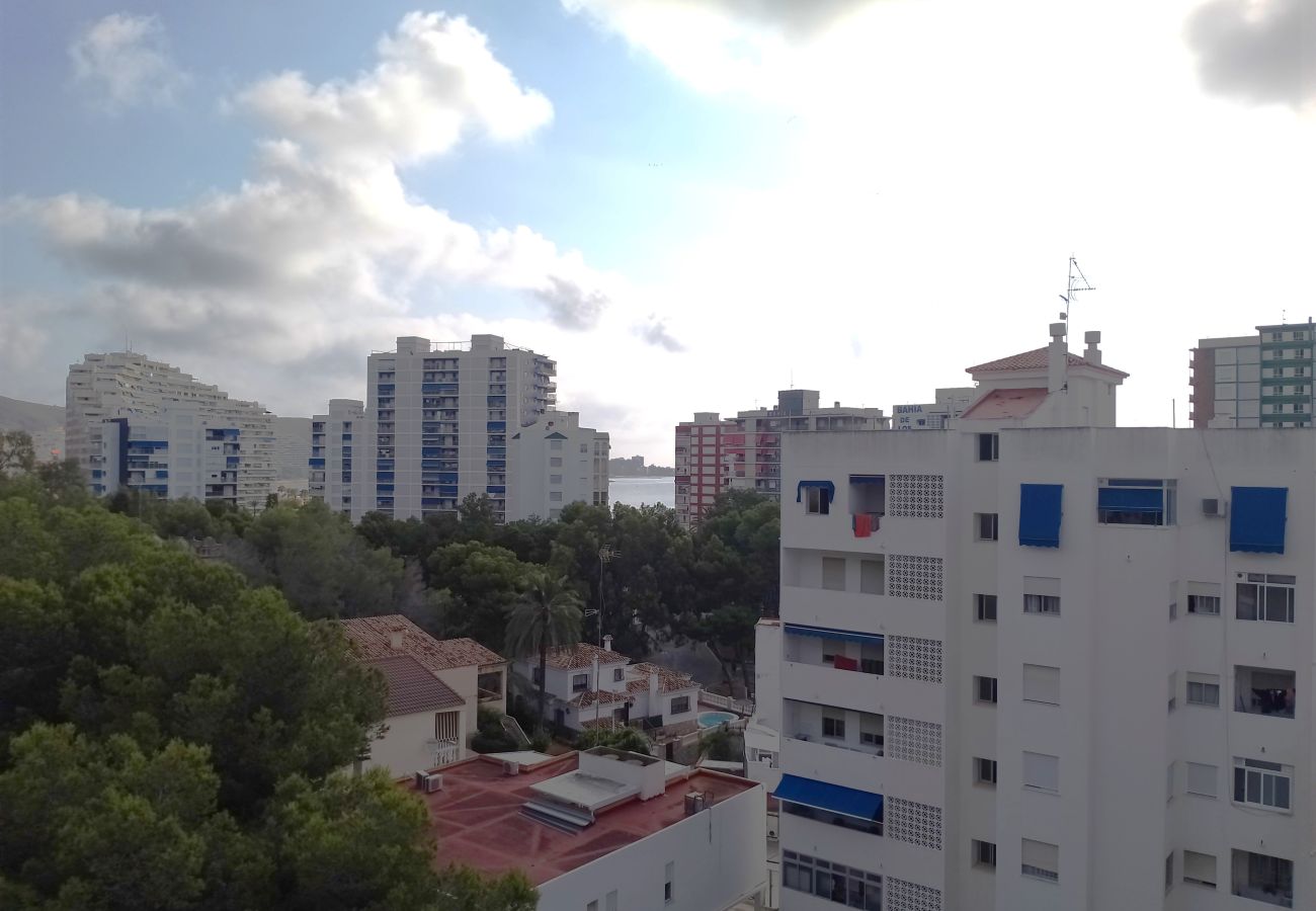 Appartement à Cullera - VAN-DYCK, ESC-4, 6º-24 + PK 18 Appartement à Cullera - VAN-DYCK, ESC-4, 6º-24 + PK 18