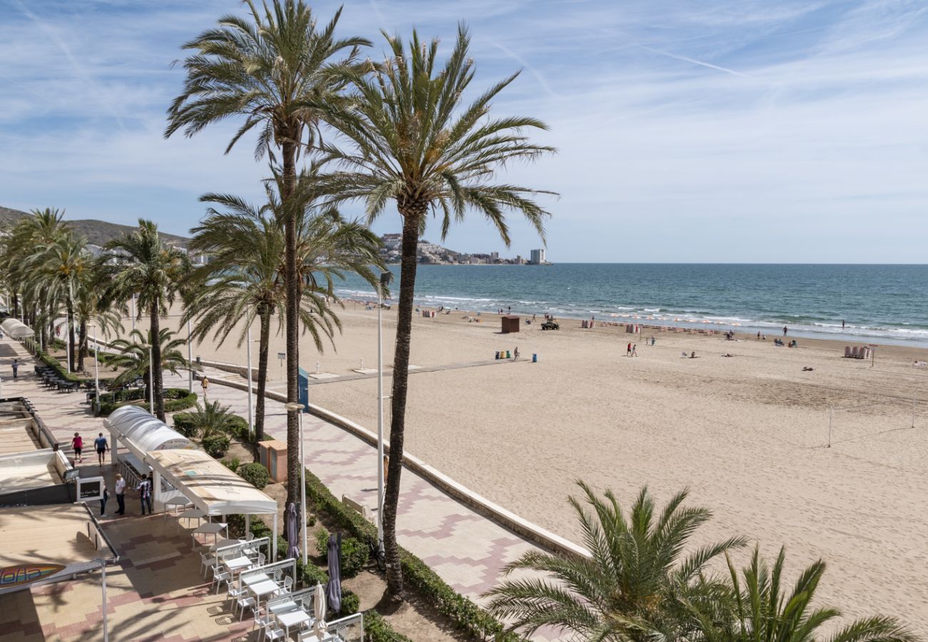 Appartamento a Cullera - APOLO, 3º-16 PK 164