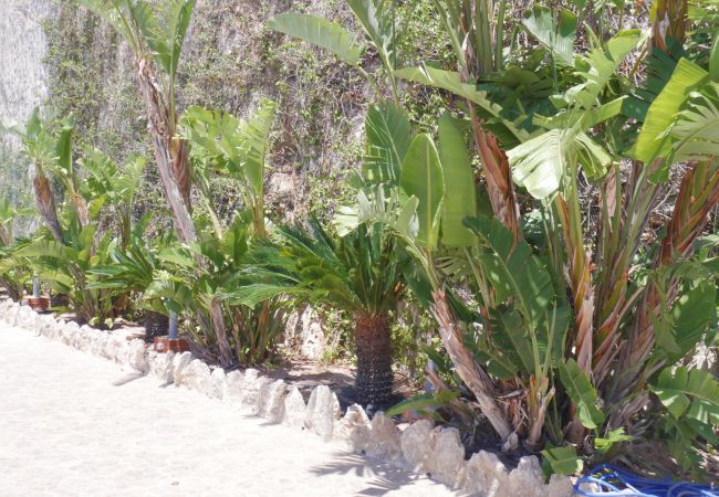 Appartamento a Cullera - BELLATERRA, BQ-2, BAJO A Appartamento a Cullera - BELLATERRA, BQ-2, BAJO A