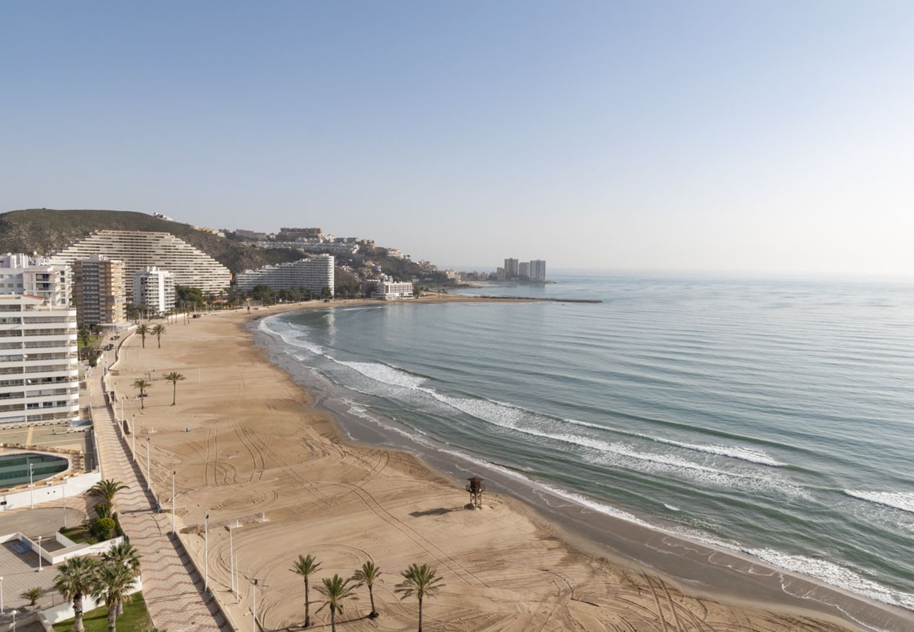 Гараж на Кульера / Cullera - PARKING FLORAZAR-3, INT. 39 Гараж на Кульера / Cullera - PARKING FLORAZAR-3, INT. 39