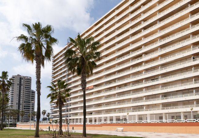 Апартаменты на Cullera - EUROMAR, ESC-6, 15º-45 Апартаменты на Cullera - EUROMAR, ESC-6, 15º-45