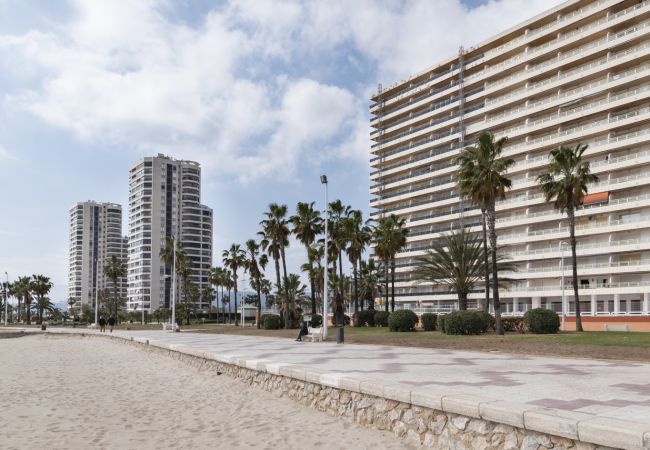 Апартаменты на Cullera - EUROMAR, ESC-6, 15º-45 Апартаменты на Cullera - EUROMAR, ESC-6, 15º-45