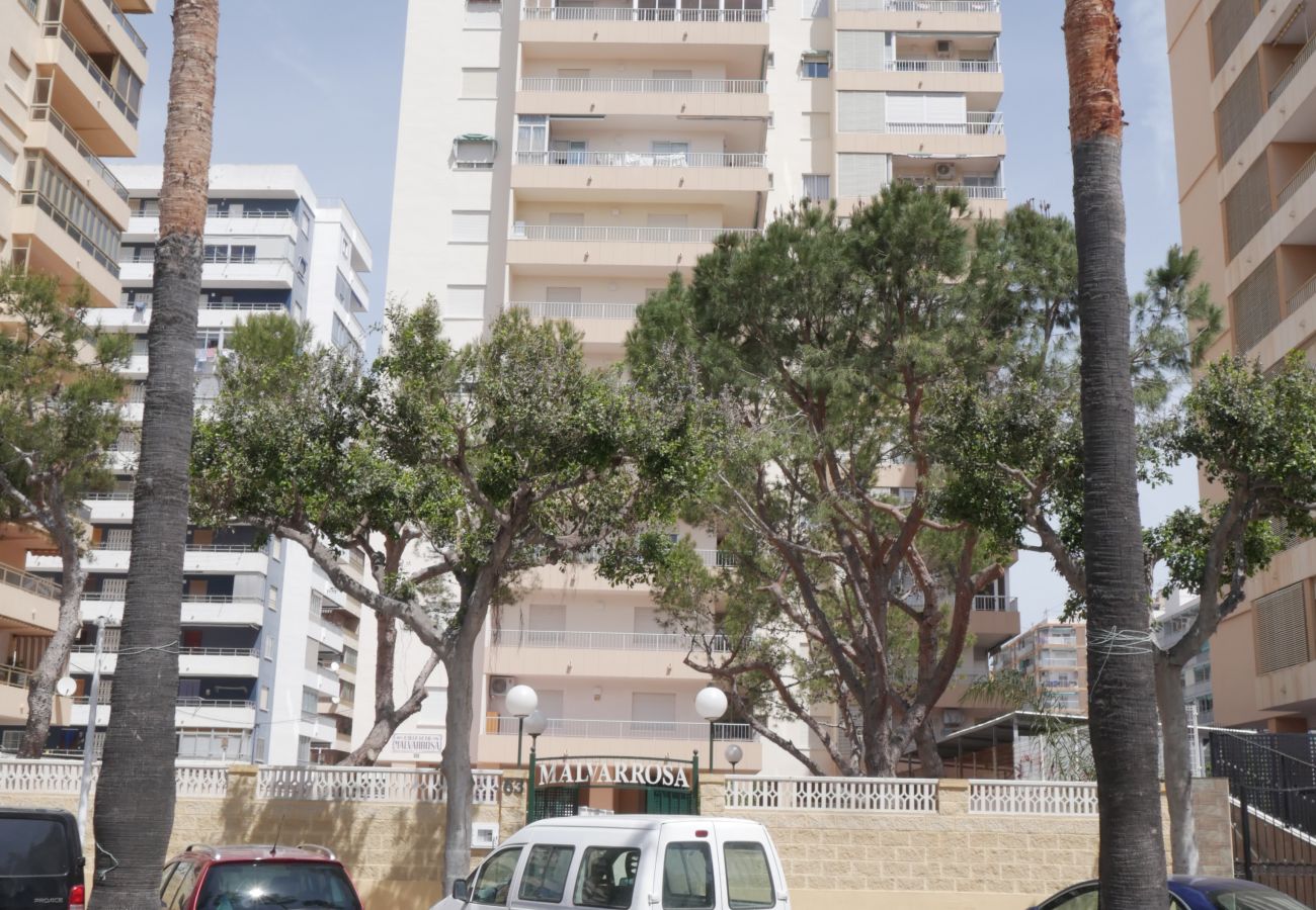 Апартаменты на Кульера / Cullera - MALVARROSA, 1º-6 Апартаменты на Кульера / Cullera - MALVARROSA, 1º-6