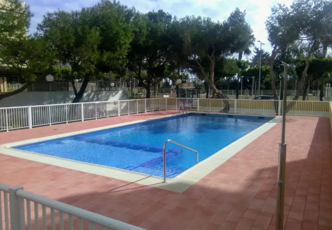 Апартаменты на Cullera - MALVARROSA, 10º68
